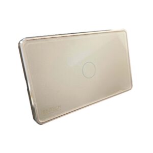 RINT8CH Switch (Gold 1 gang)