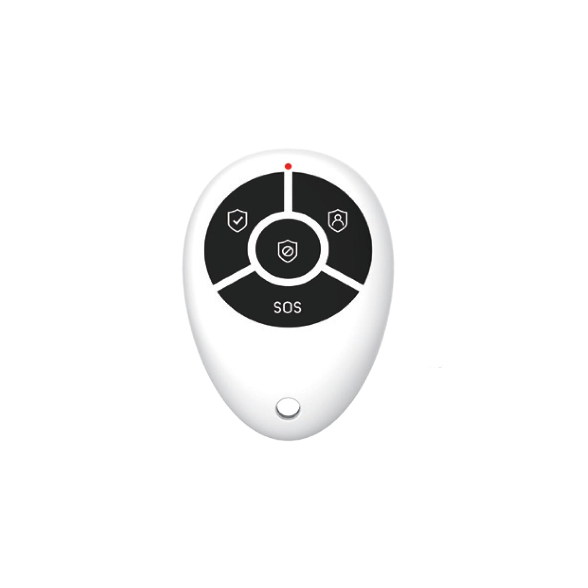 RINT8CH Remote (Full)